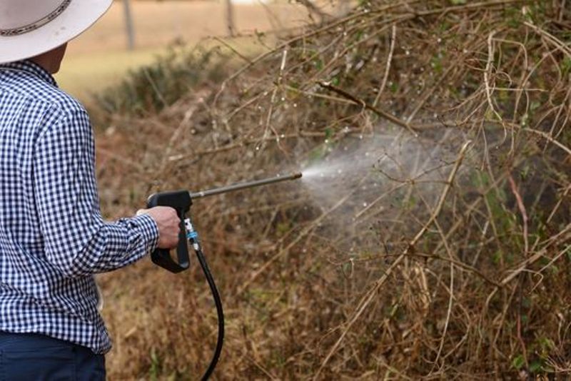Spray-guns Spray Guns and spraying lances